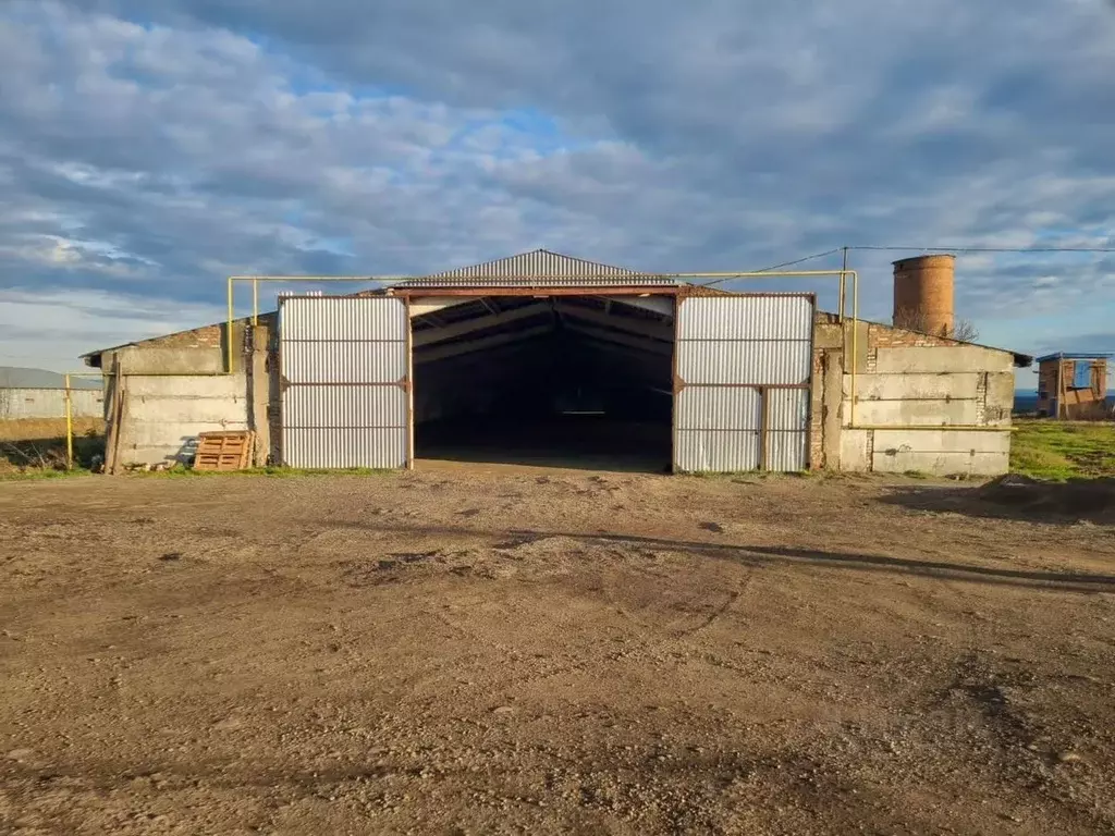 Помещение свободного назначения в Краснодарский край, Новокубанский ... - Фото 1