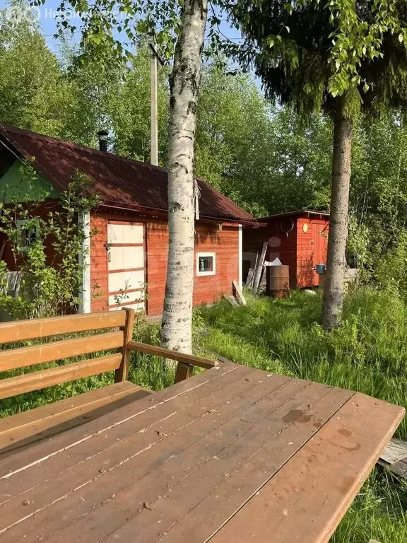 Дом в Архангельская область, Приморский муниципальный округ, СНТ Борок ... - Фото 2