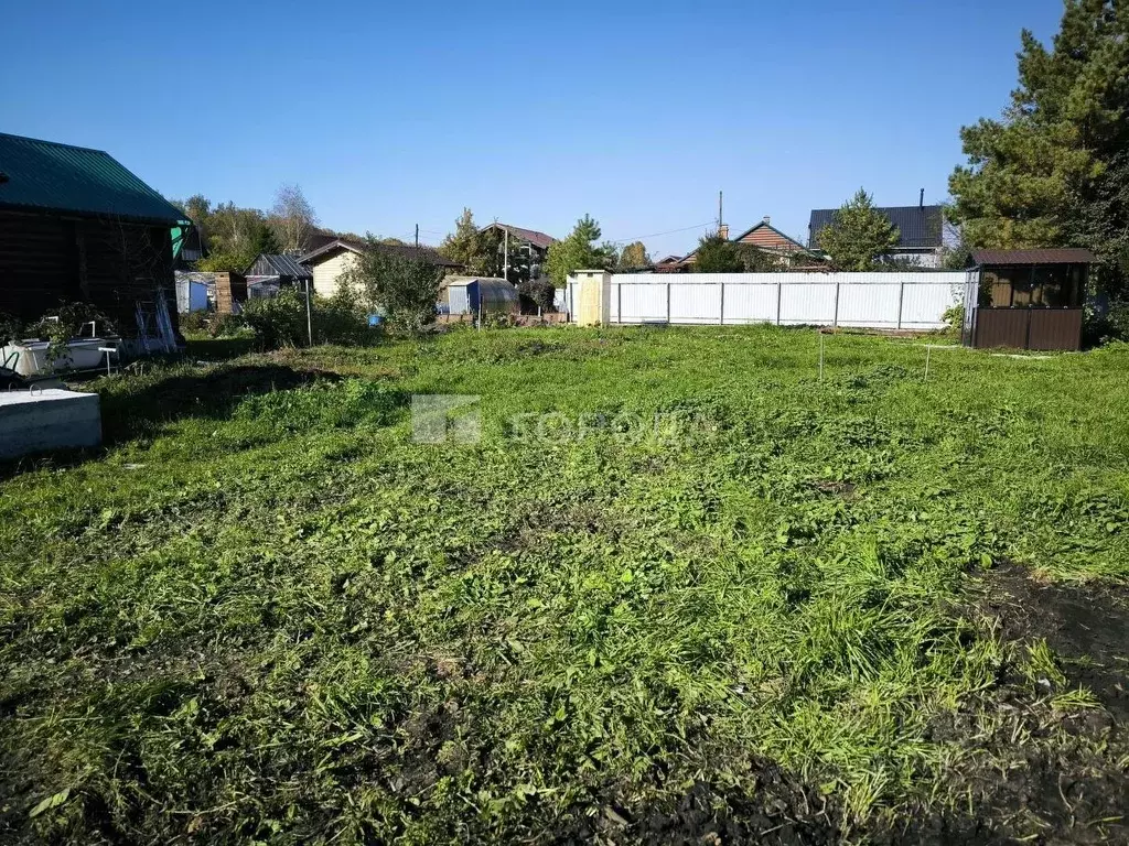 Участок в Новосибирская область, Новосибирский район, Мичуринский ... - Фото 2