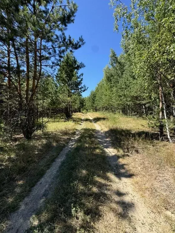 Участок в Татарстан, Казань Константиновка жилмассив, ул. Лесная (13.0 ... - Фото 0