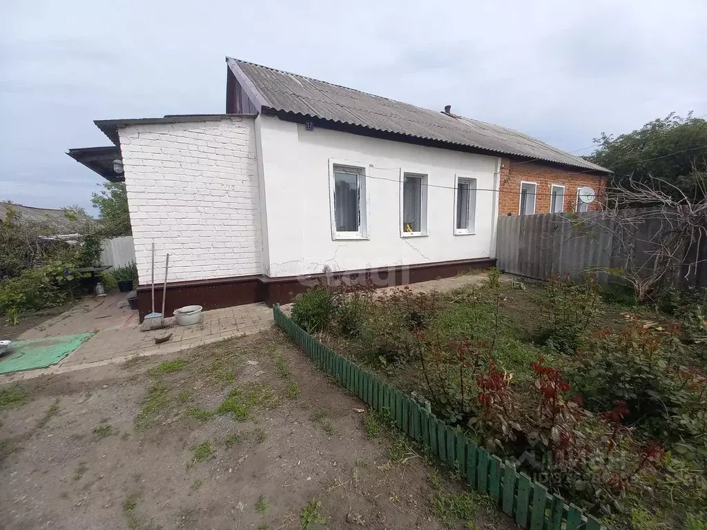 Дом в Белгородская область, Вейделевка рп ул. Гайдара, 17 (55 м) - Фото 0