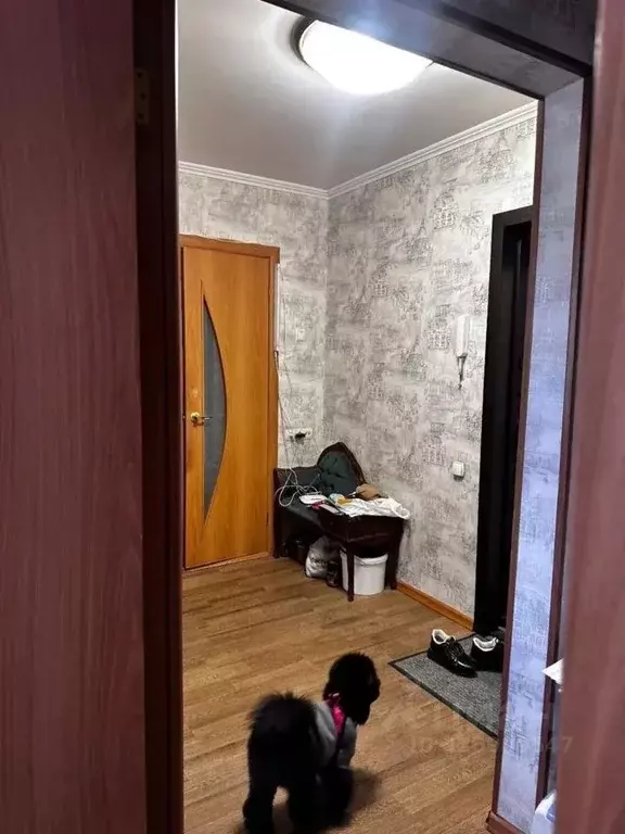 1-к кв. Камчатский край, Петропавловск-Камчатский Космический проезд, ... - Фото 1