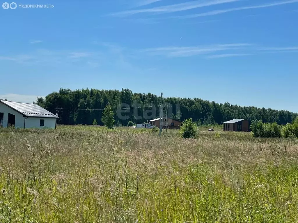 Участок в Владимирская область, Ковровский муниципальный округ, ... - Фото 1