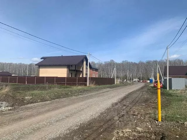Участок в Новосибирская область, Новосибирский район, Мичуринский ... - Фото 0