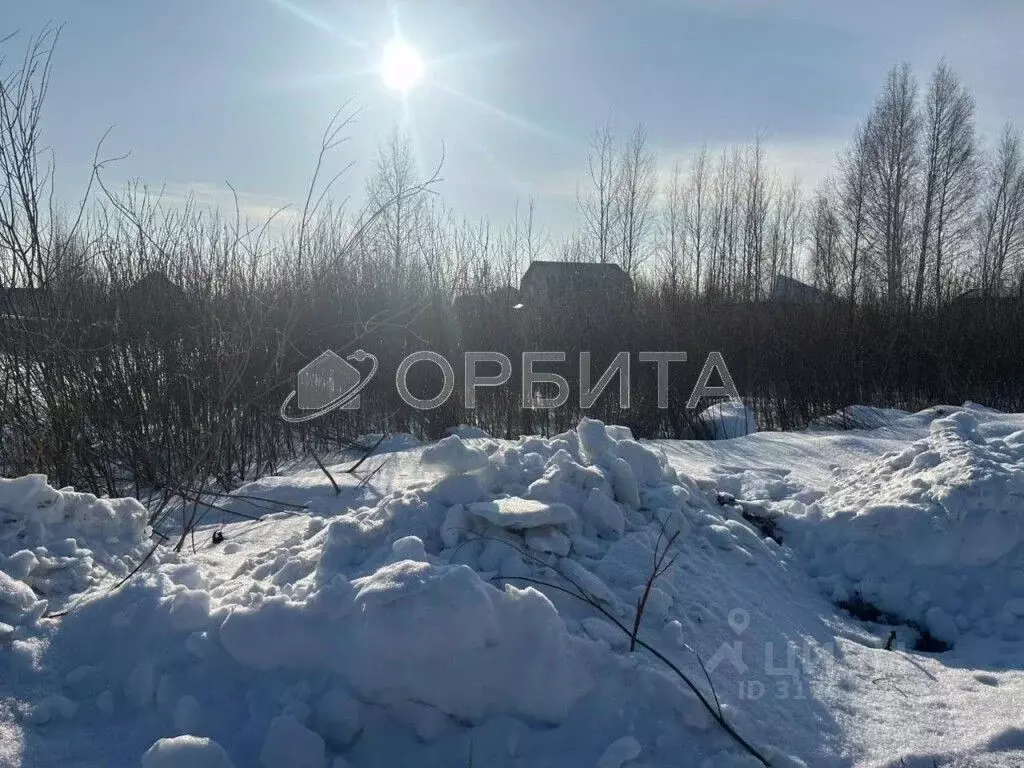 Участок в Тюменская область, Тюмень СОСН Березка-3 тер., ул. 15-я (7.0 ... - Фото 0