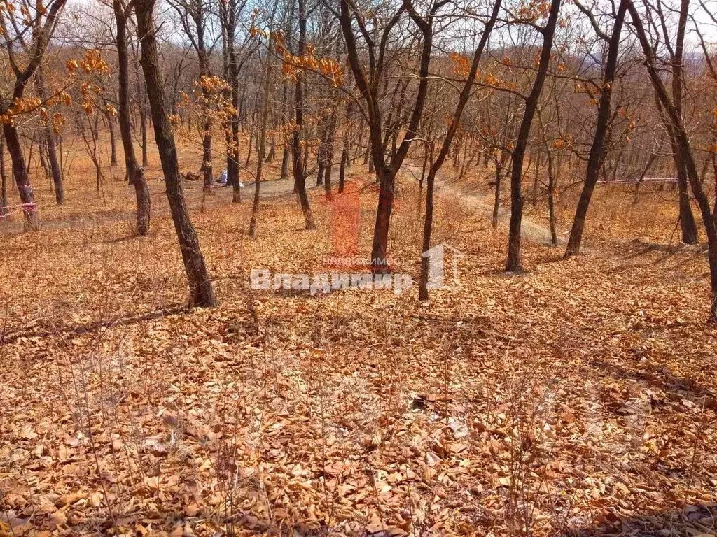 Участок в Приморский край, Находка Коммунальник СНТ, ул. Перевальная ... - Фото 2