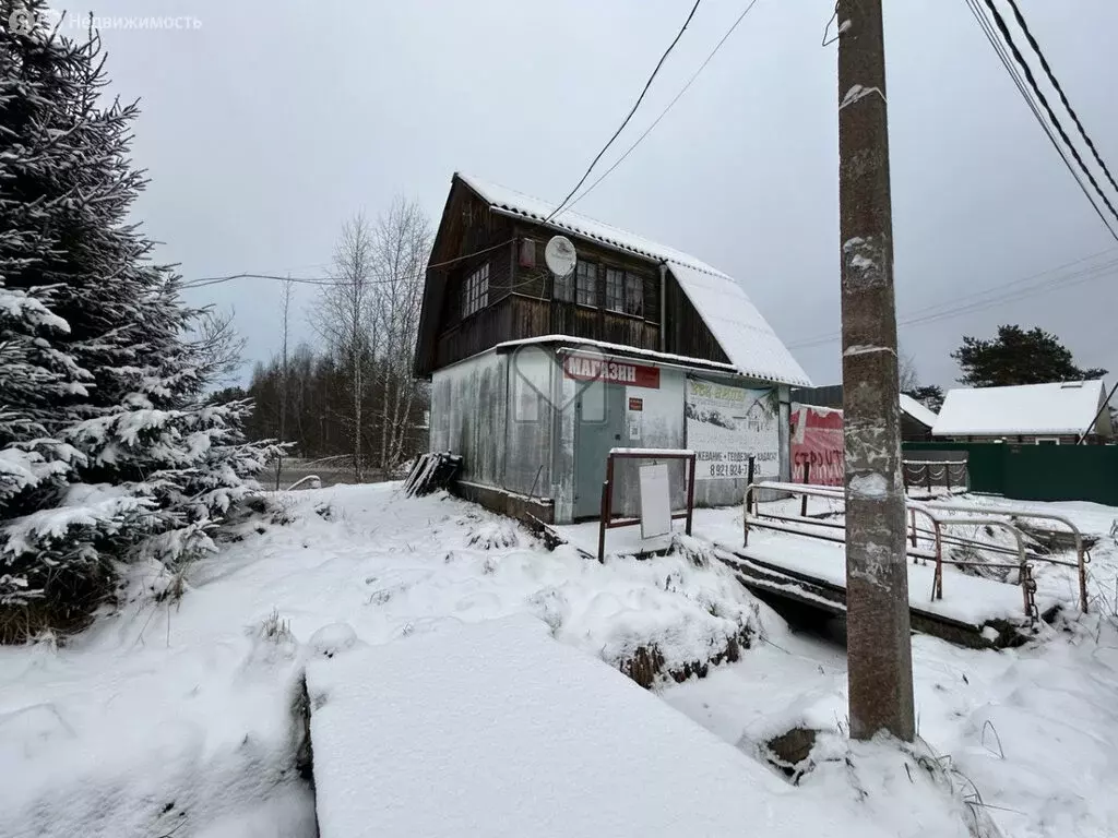 Помещение свободного назначения (50 м) - Фото 1