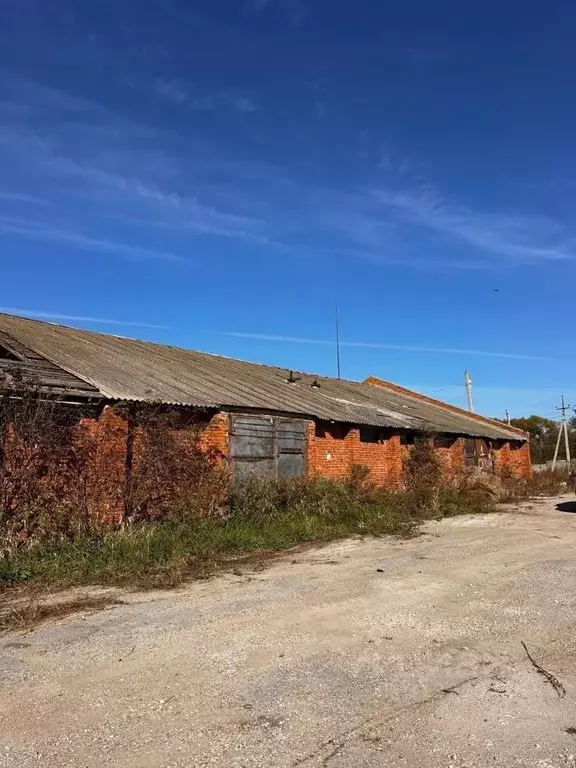 Склад в Тульская область, Новогуровский рп ул. Школьная, 5 (440 м) - Фото 0