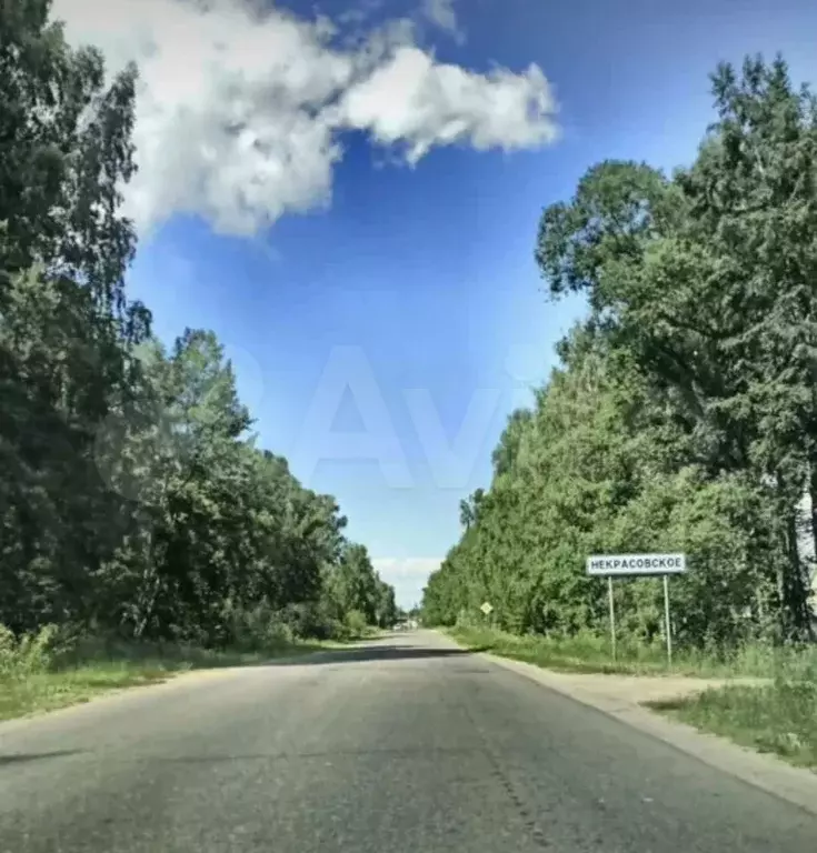Участок 12 сот. (ИЖС) - Фото 0