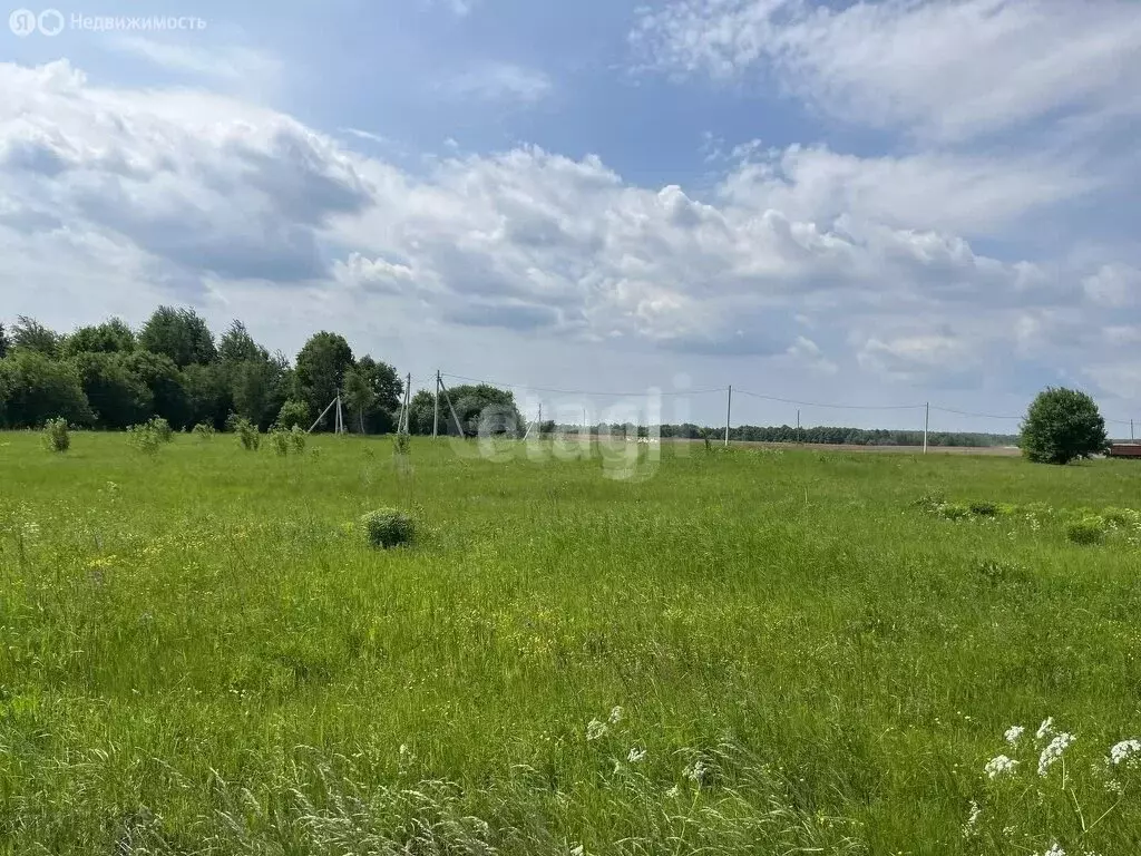 Участок в Московская область, городской округ Коломна, село Белые ... - Фото 1