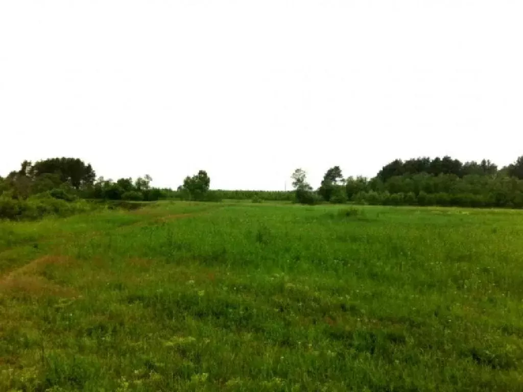 Продается участок в СНТ Ветеран-2 - Фото 1