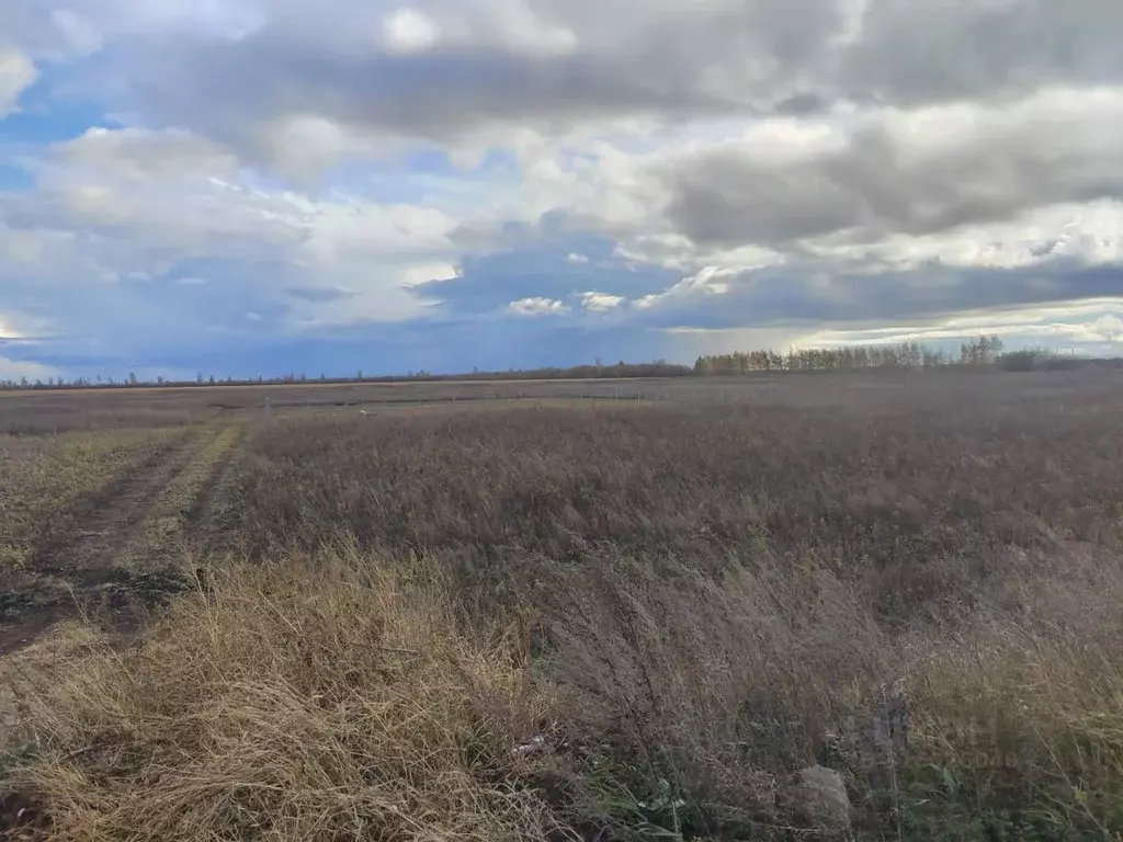 Участок в Тамбовская область, Тамбов ул. Имени Константина Малофеева, ... - Фото 2