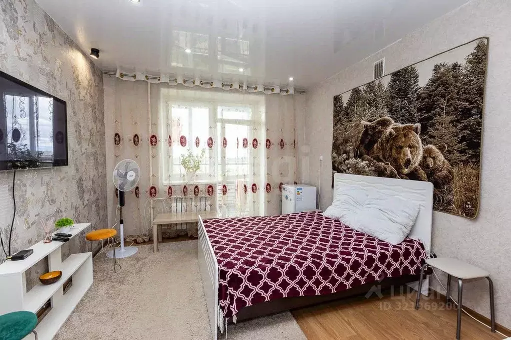 Студия Амурская область, Благовещенск ул. Островского, 110 (23.5 м) - Фото 2