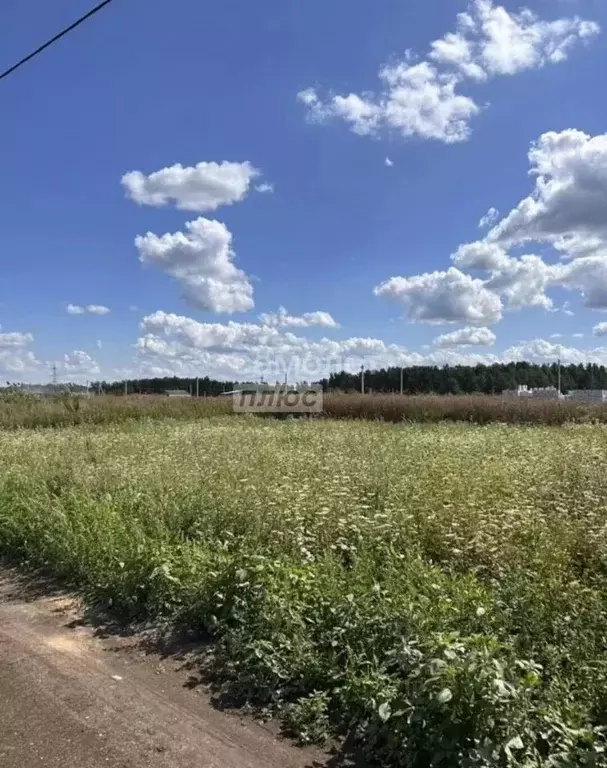 Участок в Липецкая область, Липецкий муниципальный округ, с. Ленино ... - Фото 2