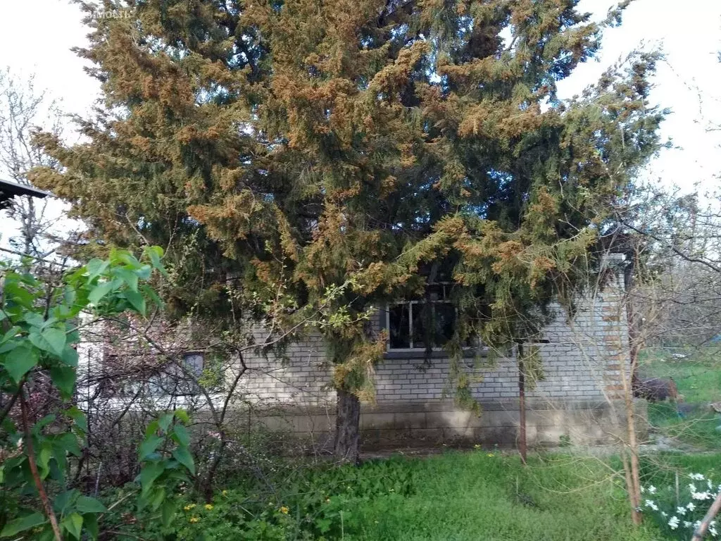 Дом в хутор Старая Станица, Красноармейская улица (80 м) - Фото 1