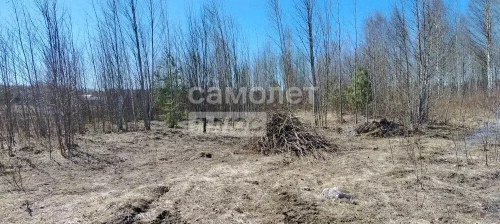 Участок в Вологодская область, д. Водогино  (20.0 сот.) - Фото 2
