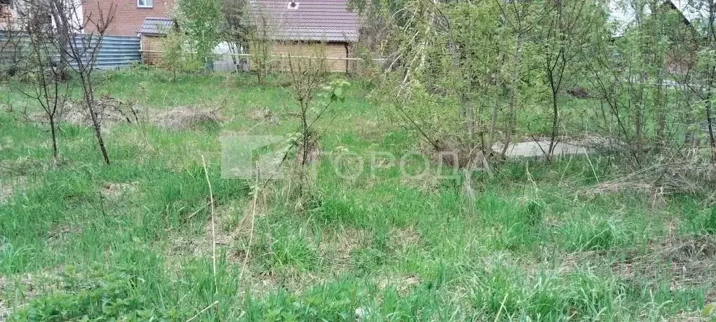 Участок в Новосибирская область, Новосибирск Оловянная ул., 24 (5.8 ... - Фото 2