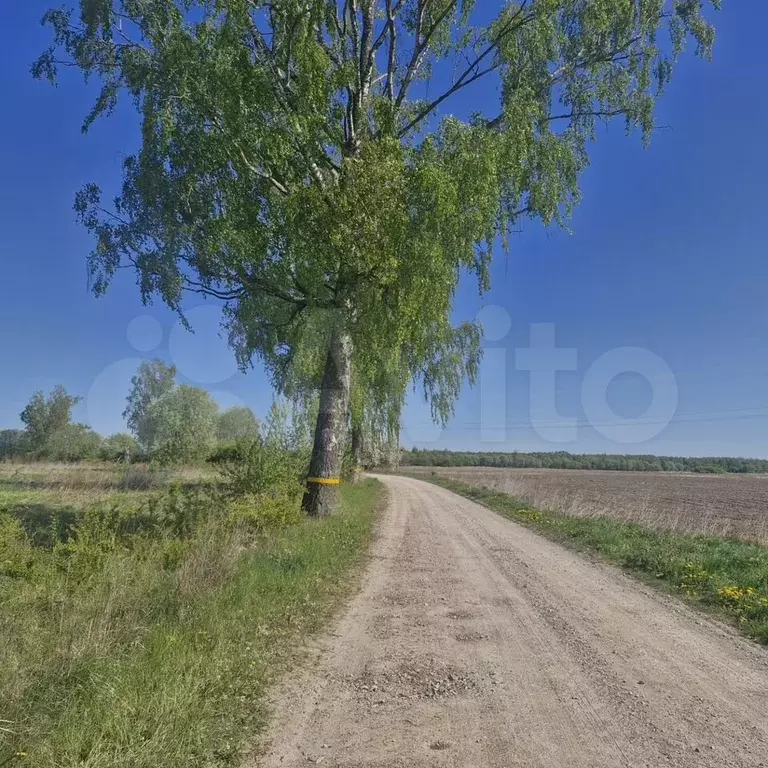 Участок 14,45 га (СНТ, ДНП) - Фото 1