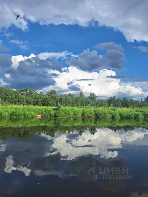 Участок в Тверская область, Кашинский городской округ, д. Поповка-2  ... - Фото 1