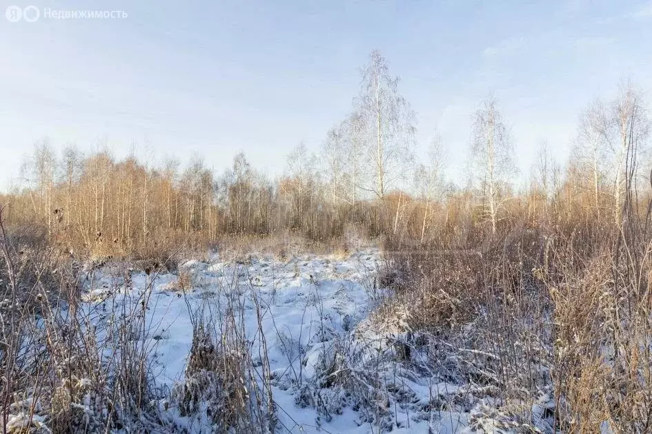 Участок в Нижнетавдинский район, садовое товарищество Моторостроитель ... - Фото 1