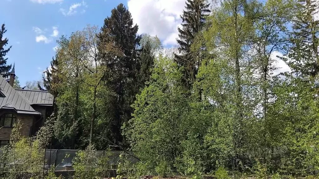 Участок в Московская область, Одинцовский городской округ, пос. ... - Фото 1