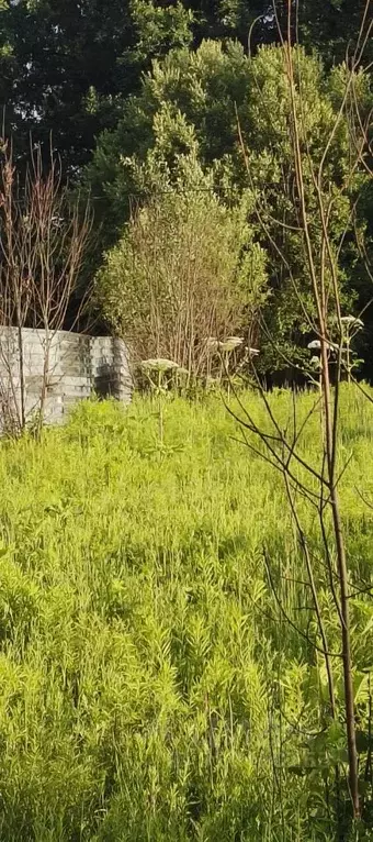 Участок в Тульская область, Тула городской округ, с. Алешня  (50.0 ... - Фото 1