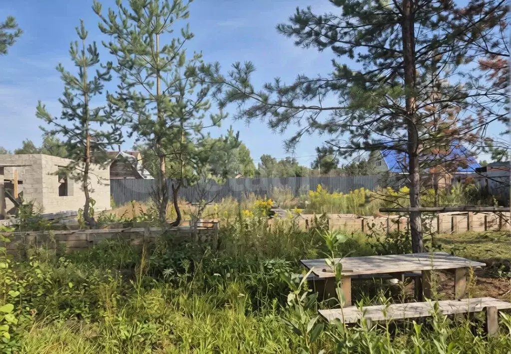 Участок в Курганская область, Курган Надежда СНТ, ул. Центральная, 153 ... - Фото 2