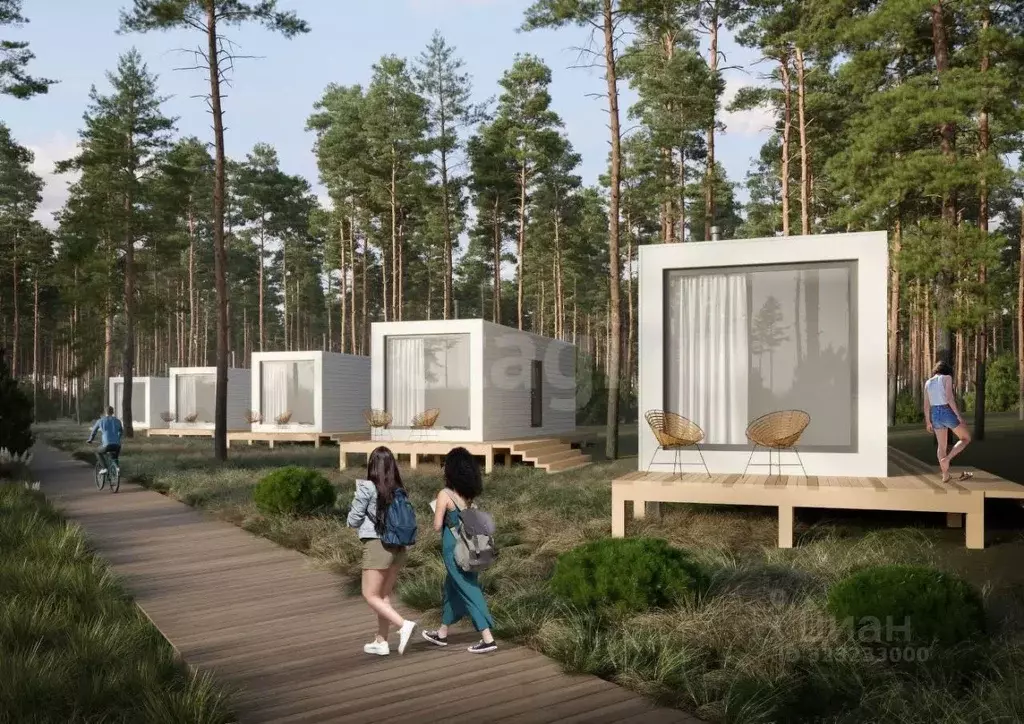 Участок в Воронежская область, Новоусманский район, Бабяковское с/пос, ... - Фото 2