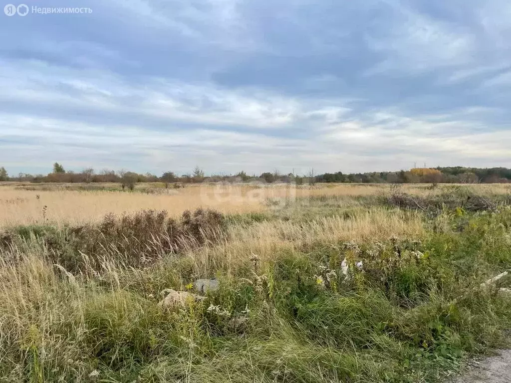 Участок в Калининградская область, Гурьевский муниципальный округ, ... - Фото 2