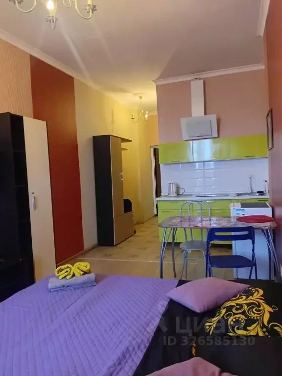 1-к кв. Московская область, Балашиха 1 Мая мкр, 4К1 (26.0 м) - Фото 1