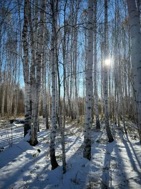 Дом в Тюменская область, Нижнетавдинский муниципальный округ, ... - Фото 1