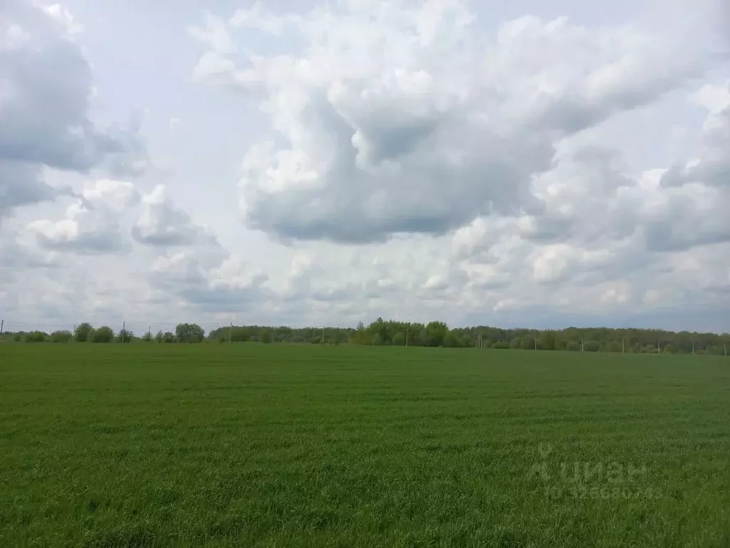 Участок в Калужская область, Боровский муниципальный округ, д. Красное ... - Фото 2