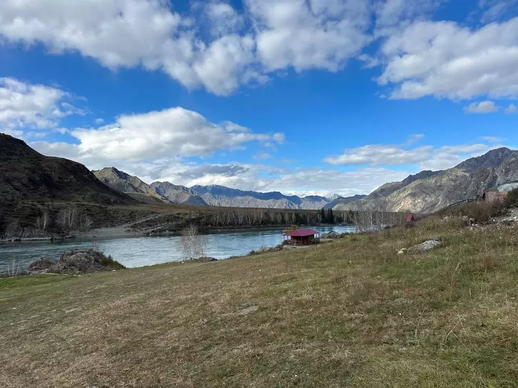 Участок в Алтай, Чемальский район, Куюсское с/пос, Урочище Карбан тер. ... - Фото 1