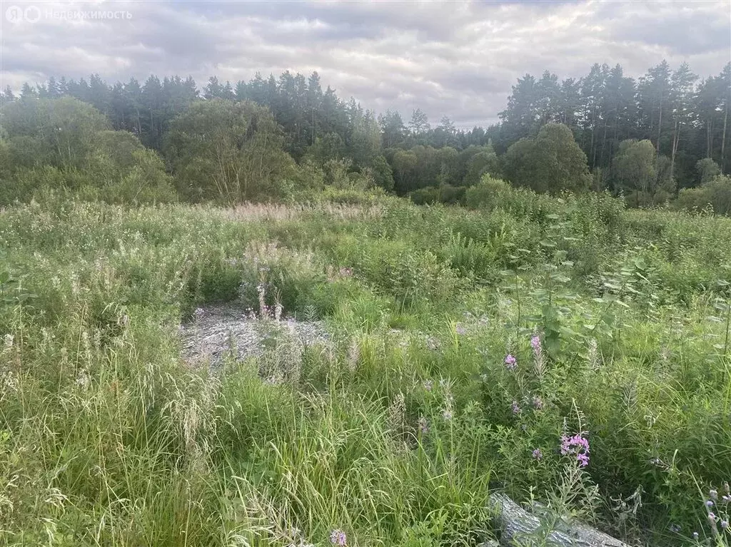 Участок в Выра, Мурманская улица (16.5 м) - Фото 1