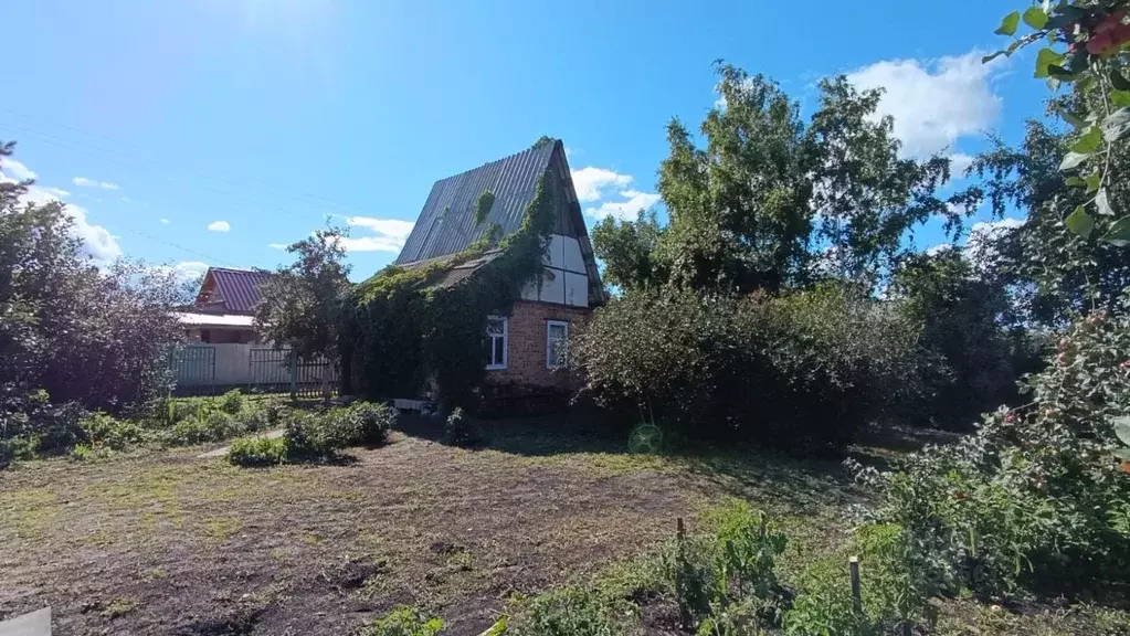 Дом в Омская область, Омск СНТ Ромашка ТСН, аллея 13-я (25 м) - Фото 2