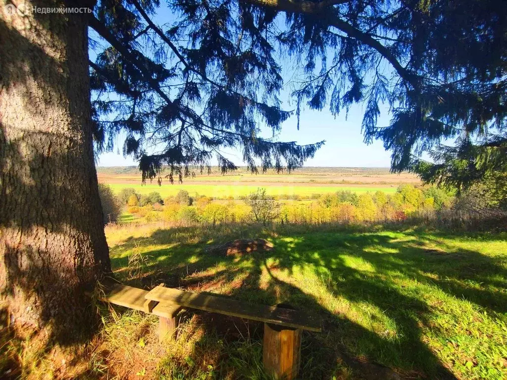 Участок в Новгородская область, Любытинское сельское поселение, ... - Фото 1