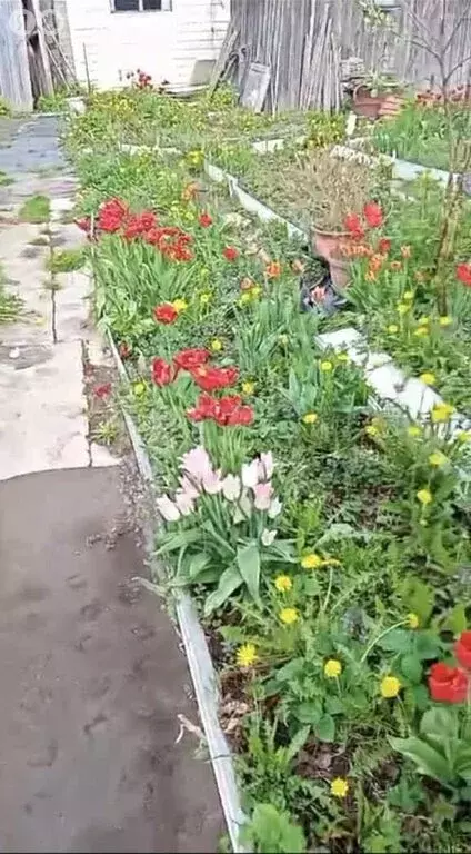Дом в Ключевское сельское поселение, СНТ Пластик (18 м) - Фото 0