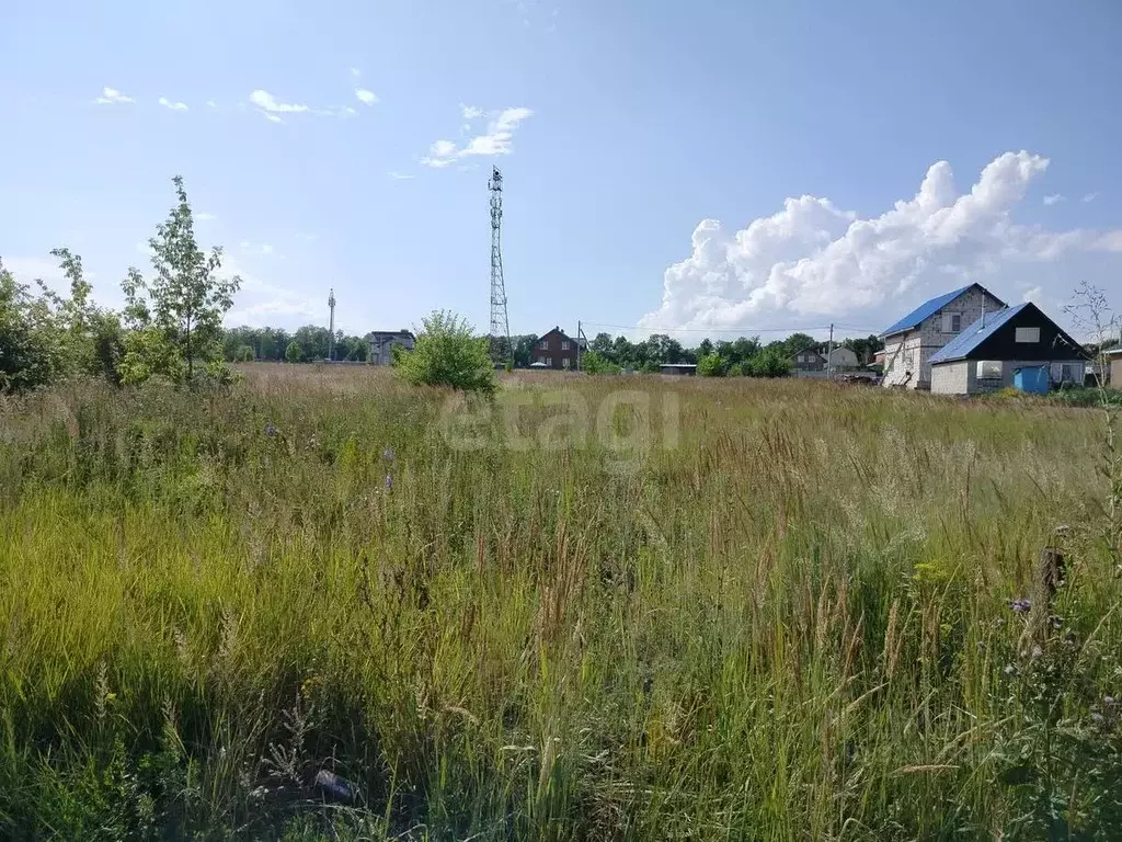 Участок в Мордовия, Лямбирский район, с. Берсеневка ул. Дружбы (10.0 ... - Фото 1