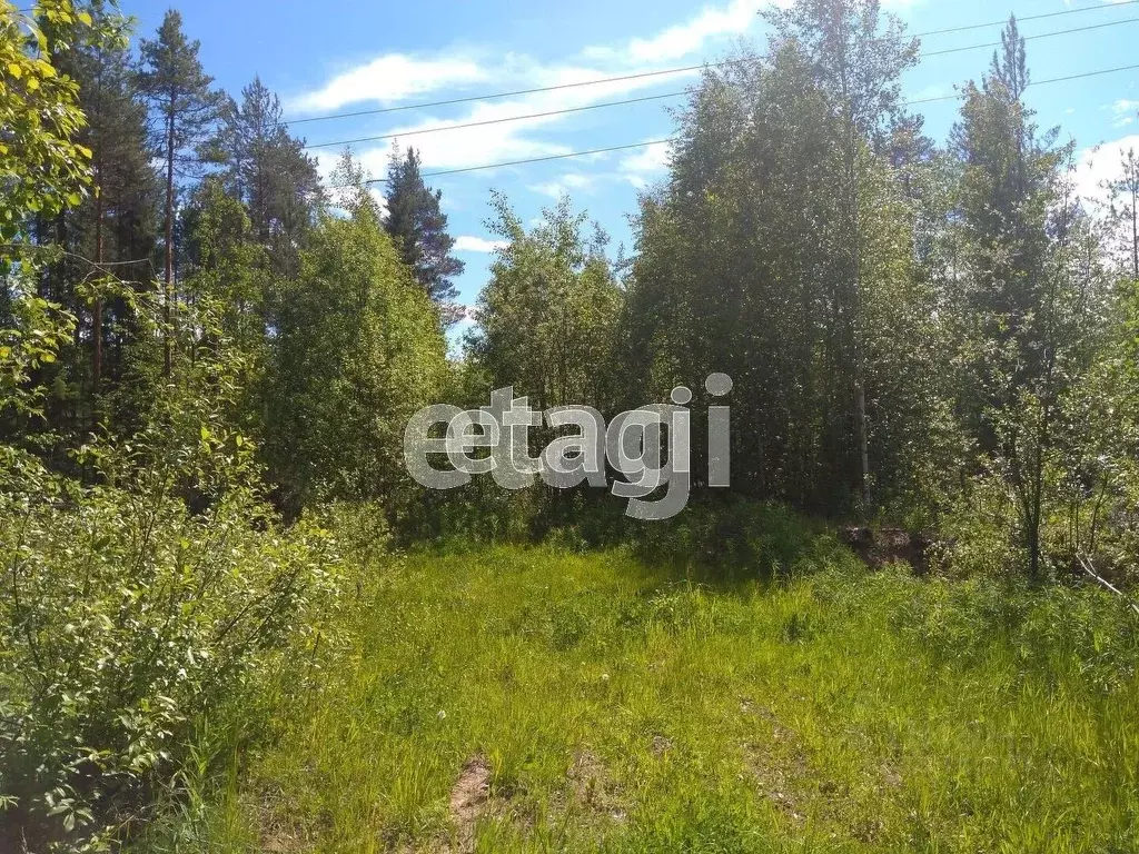 Участок в Коми, Сыктывкар городской округ, Верхняя Максаковка пгт ул. ... - Фото 2