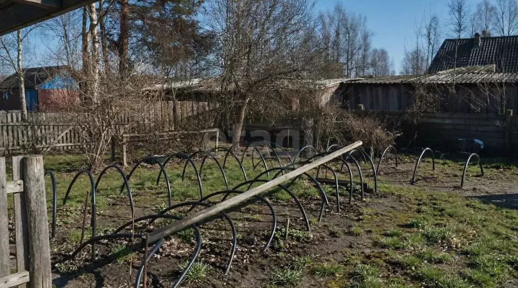 Участок в Ленинградская область, Киришский район, Пчевжинское с/пос, ... - Фото 1