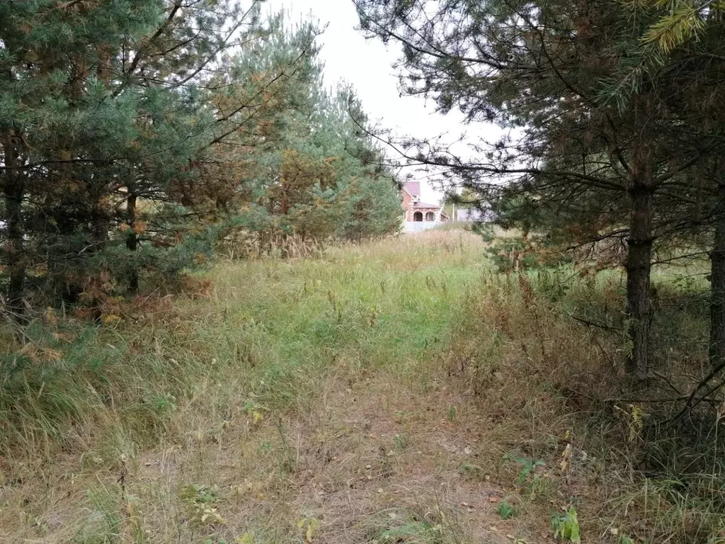 Участок в Московская область, Богородский городской округ, с. ... - Фото 1
