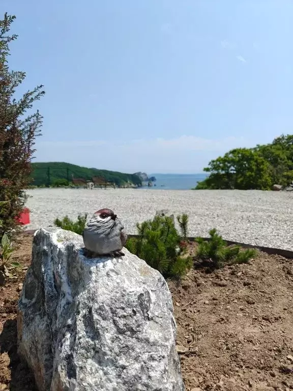 Дом в Приморский край, Находка ул. Благополучная, 16 (28 м) - Фото 0