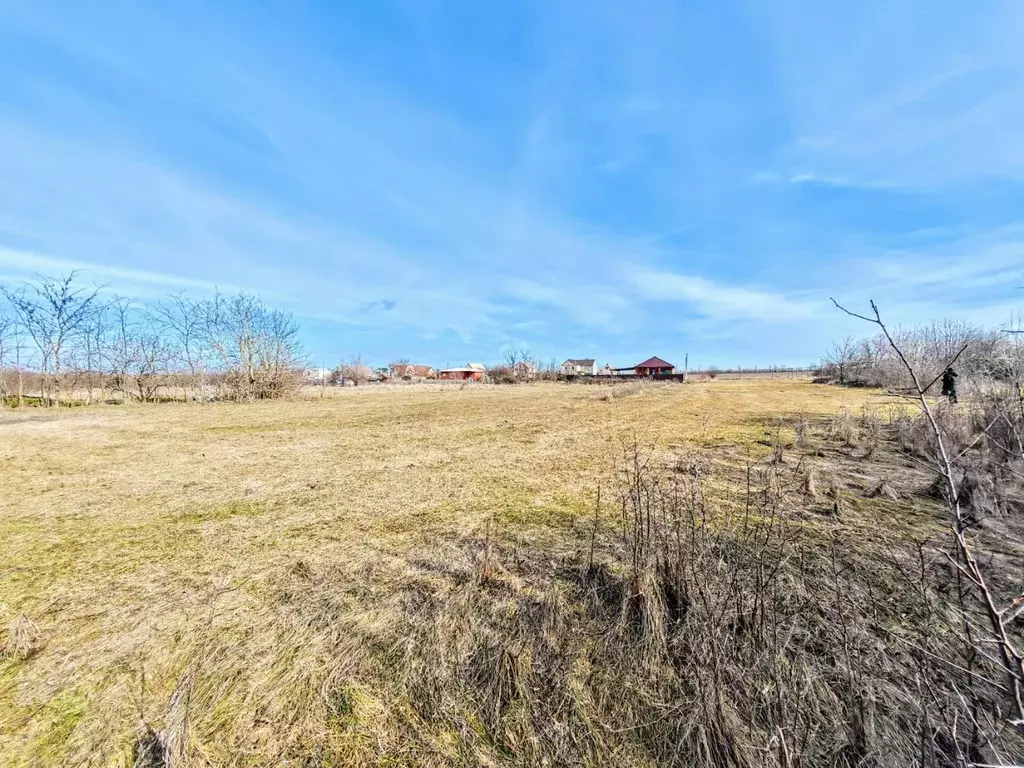 Участок в Краснодарский край, Тихорецкий район, Новорождественское ... - Фото 2