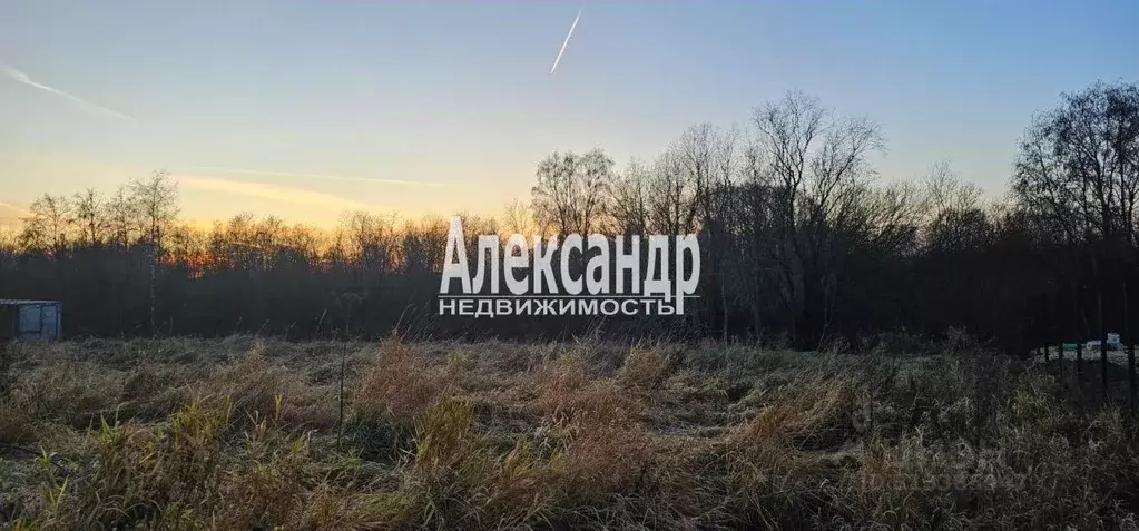 Участок в Ленинградская область, Ломоносовский район, Лаголовское ... - Фото 0