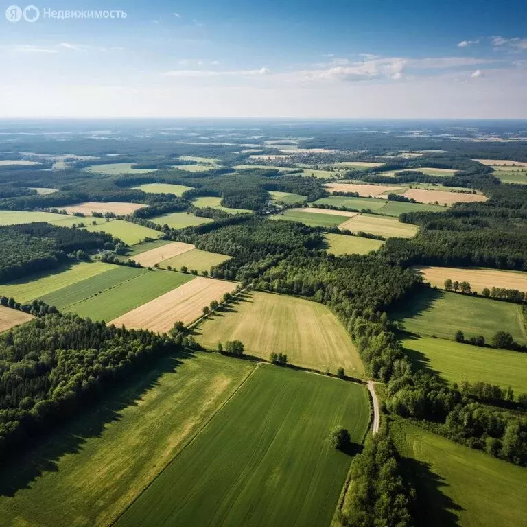 Участок в Пермский край, Ильинский муниципальный округ, Сретенский ... - Фото 1
