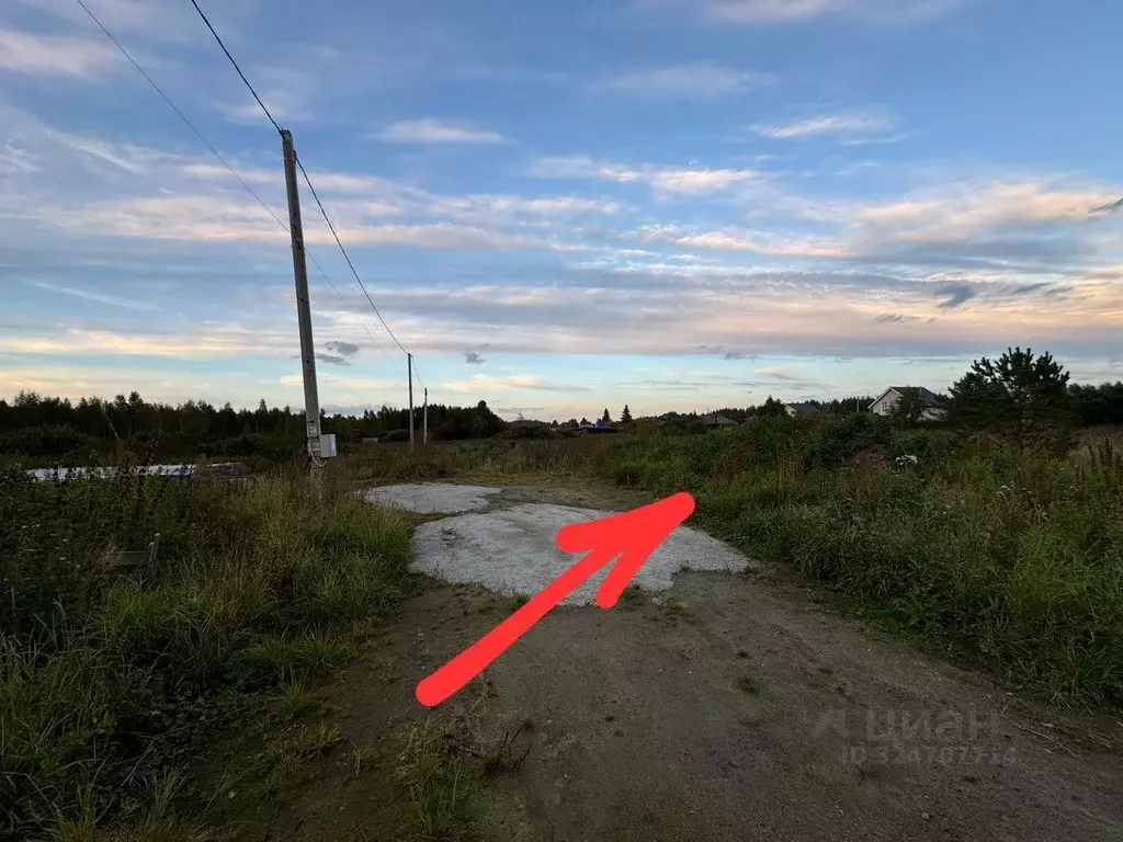 Участок в Свердловская область, Белоярский муниципальный округ, д. ... - Фото 2