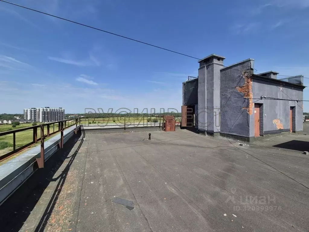 Склад в Ленинградская область, Колтуши Всеволожский район, ул. ... - Фото 2