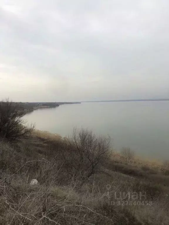 Участок в Ростовская область, Неклиновский район, Новобессергеневское ... - Фото 1