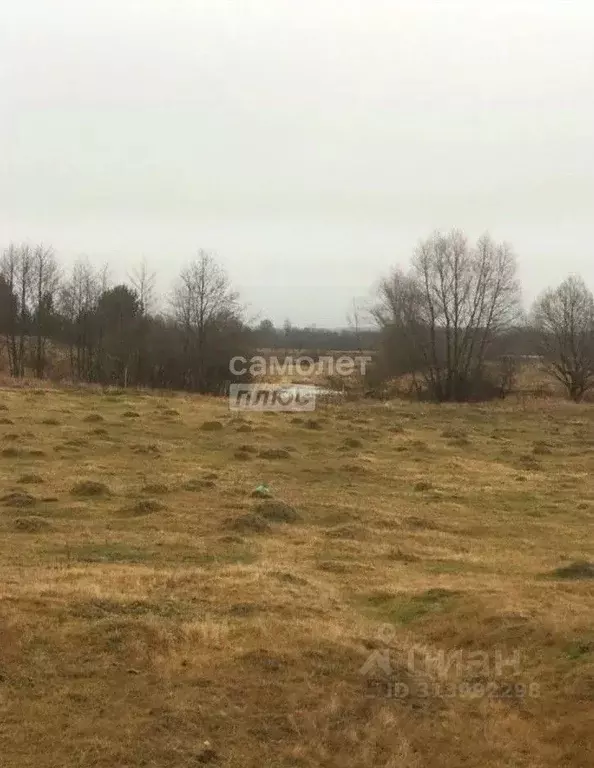 Участок в Калужская область, Козельский район, Нижние Прыски с/пос, с. ... - Фото 2