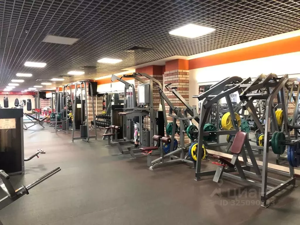 Помещение свободного назначения в Московская область, Одинцово ... - Фото 1